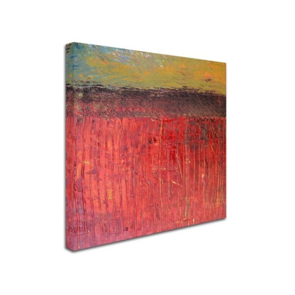 Michelle Calkins 'Highway Series Cranberry Bog' Canvas Art,14x14